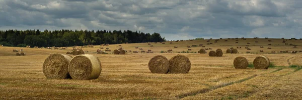 Weitblick Auf Ein Hügeliges Landwirtschaftliches Feld Mit Runden Strohballen Auf — Stockfoto