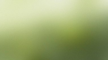 Açık yeşilden koyu yeşile doğru bulanık bir eğim ve ince bir tahıl dokusu. Ayrıntıları ve vibr 'i temizle...