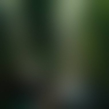 Koyu yeşil bulanık arkaplan, ince doku ve eğimle. Ayrıntıları ve vibrasyonu temizle...