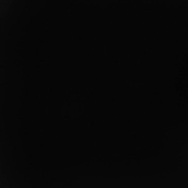 A completely black, solid background with a subtle grainy texture visible. Clear details and vibr...