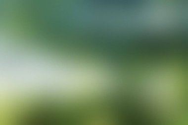 Bulanık soyut bir arka plan, yemyeşil ve deniz mavisi tonlarıyla, doğayı çağrıştırıyor. Ayrıntıları temizle ve v...