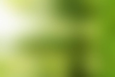 Yumuşak yeşil ve sarı renkli bulanık arkaplan ve parlak ışık yayılımı.