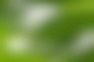 Arka plan bulanık yeşil arkaplan ve ışık lekeleri gösteriyor. Yüksek çözünürlüklü resim uygun...