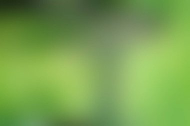 Bulanık yeşil arkaplan, değişik tonlarda ve dağınık ışık, doğa ve yeşilliği işaret ediyor..