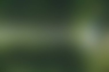 Derin ve açık yeşil tonlara sahip bulanık ve soyut bir arka plan, ormanı çağrıştırıyor. Ayrıntıları temizle...