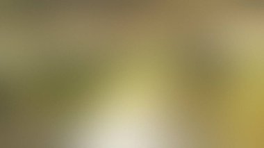 Yumuşak, bulanık bir zemin, karışık altın sarısı ve zeytin yeşili tonlarıyla. Ayrıntıları temizle...