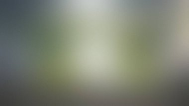 Yumuşak yeşil ve gri tonlara sahip bulanık bir arkaplan, daha parlak bir yayılmış ışık içerir...