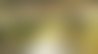 Yumuşak odaklı, sarı, yeşil ve açık renkli soyut bir arka plan. Ayrıntıları temizle ...