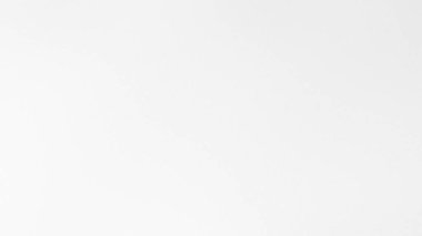 İnce bir tahıl dokusu ve açık gri tonları olan düz beyaz bir arka plan..