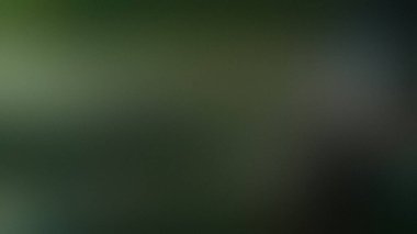 Koyu yeşil ve gri eğimli, ince benekli ve yumuşak odaklı. Ayrıntıları ve titreşimi temizle...