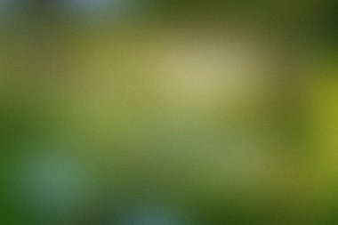 Yeşil, bulanık yeşil ve kumlu dokuya sahip sarı gradyanı gösteriyor. Yüksek çözünürlük...