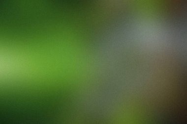 Bulanık yeşil ve gri renkte, ince bir deseni var. Ayrıntıları ve canlı renkleri temizle...