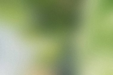 Hafif tahıl dokusu ve pürüzsüz geçişleri olan açık yeşil ve beyaz bir arkaplan..