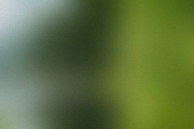 Yumuşak bir odak noktası soyut arkaplan koyu yeşilden açık griye ve ince taneciklere doğru eğimli.