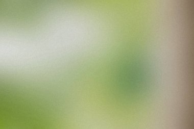 Yumuşak yeşil ve beyaz gradyan, ince bir tahıl dokusu, yumuşak ve havadar bir zemin oluşturur..