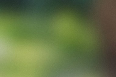 Yumuşak, bulanık bir arka plan, yeşil ve sarı gradyan ve ince bir tahıl. Ayrıntıları temizle...