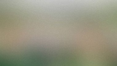 Yumuşak, dağınık bir arka plan, sessiz toprak tonları ve ince bir tahıl dokusu. Ayrıntıları temizle...