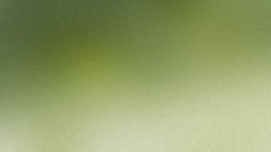 Hafif ses dokusu ve yumuşak odaklı soluk yeşil bir arkaplan. Ayrıntıları temizle...