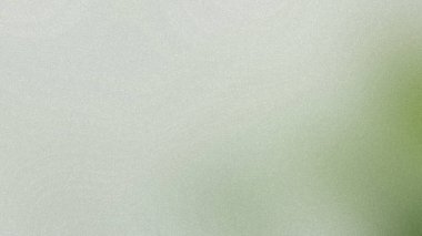 Yumuşak, soluk yeşil bir arkaplan ve ince bir tahıl dokusu. Ayrıntıları ve canlılığı temizle...