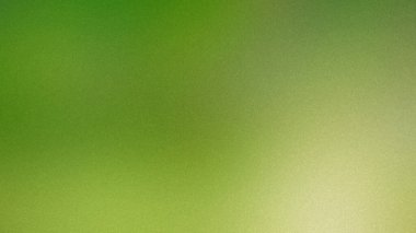 Yumuşak yeşil bir arkaplan, ince bir tahıl dokusu ve dağınık bir ışık. Ayrıntıları temizle...