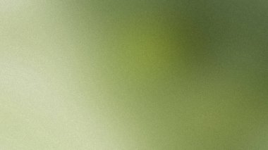 Yumuşak yeşil bir arka plan, ince bir tahıl dokusu ve ışık difüzyonu. Ayrıntıları temizle...