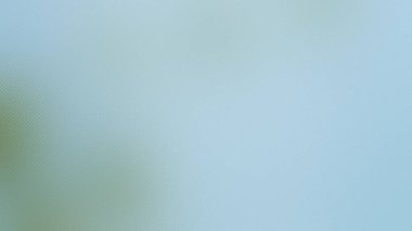 Yüzeyde ince desenli soluk mavi-yeşil bir arkaplan..