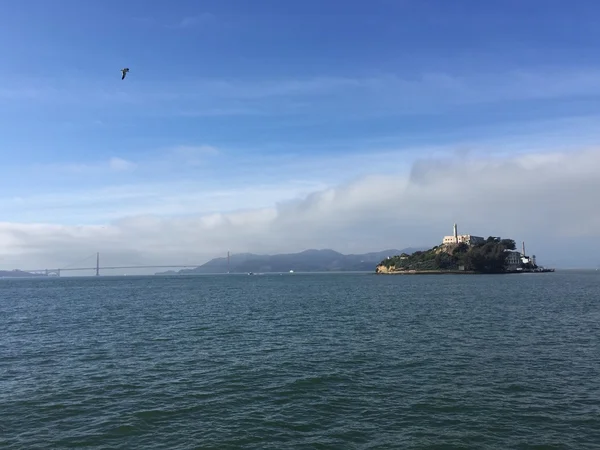 Ilha de Alcatraz no mar e um pássaro — Fotografia de Stock