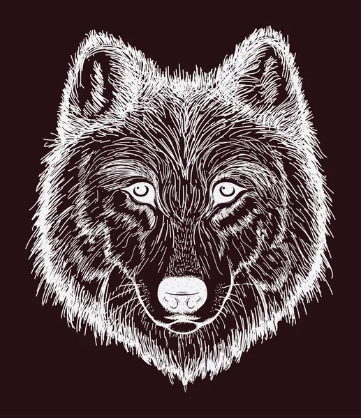 Cabeza de lobo, vector animal — Archivo Imágenes Vectoriales