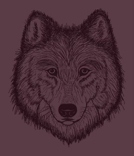 Wolf Head, animal, sălbatic — Vector de stoc