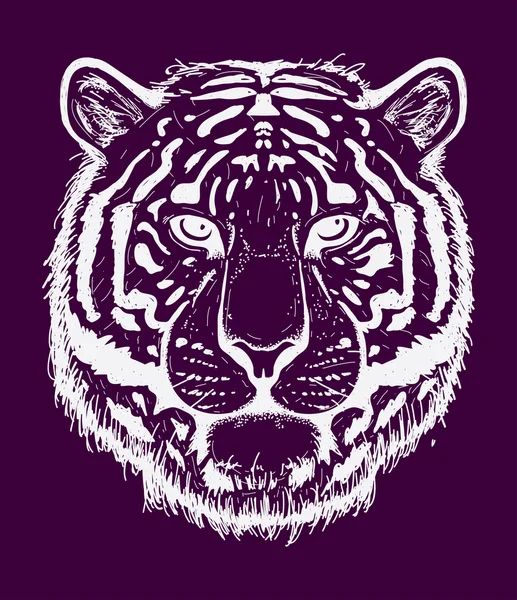Εικόνα διάνυσμα κεφαλής τίγρης — Διανυσματικό Αρχείο