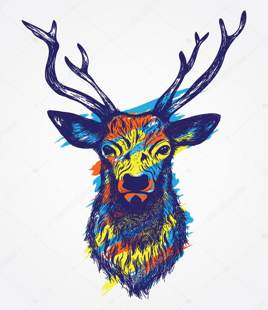 Deer Head Colorful vector illustration