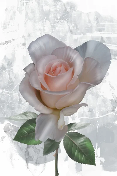 Rose on abstract background — Stock Photo, Image