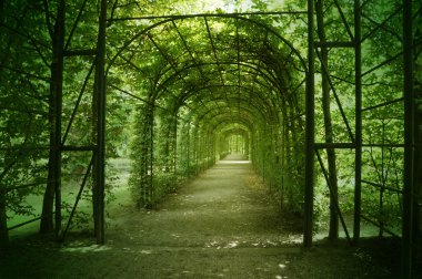 Parkta yeşil romantik kemer