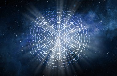 Yaşam sembolü Kutsal Geometri. Simya 'nın gizemli hayat çiçeğinin geometrik mistik mandala' sı. Altın lüks tasarım, kutsal meditasyon tılsımı vektörü, siyah arka planda izole edilmiş.