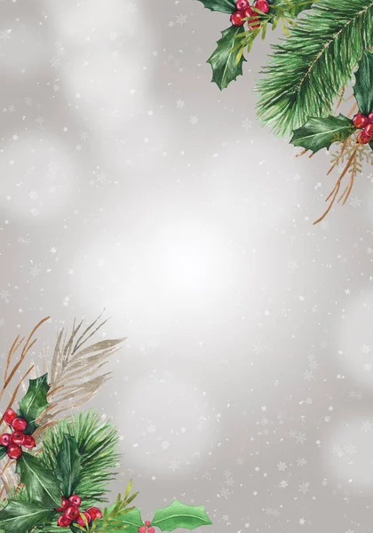 Akwarela Szary Tło Boże Narodzenie Jemiołami Gałązki Jodły Tło Świąteczne — Zdjęcie stockowe
