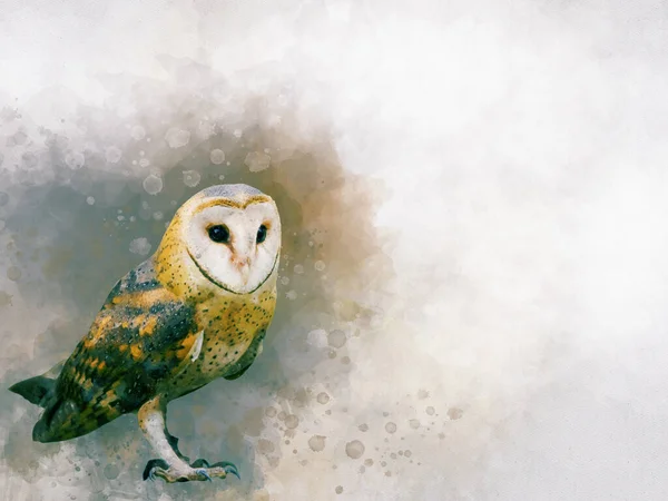 Watercolor Barn Owl 디자인 카드나 인쇄에 손으로 올빼미 — 스톡 사진