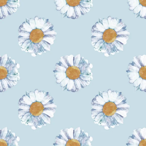 Daisy Kwiaty Bezszwowe Tło Powtarzające Wzór Tapety Tło Ładny Bezszwowy — Zdjęcie stockowe