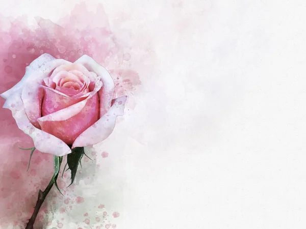 鮮やかなピンクのバラの花の水彩画 植物画 グリーティングカード又はウェディング招待状の装飾要素 — ストック写真