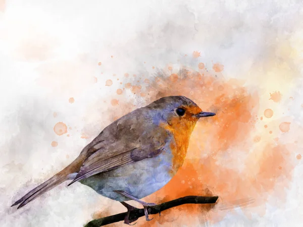 Acuarela Robin Redbreast Pájaro Pintado Mano Aislado Sobre Fondo Blanco —  Fotos de Stock