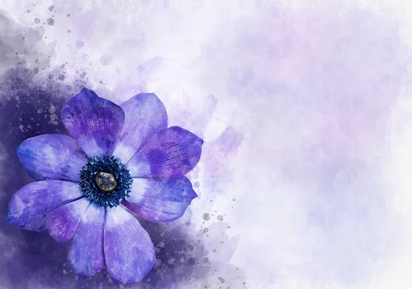 Pittura Acquerello Fiore Anemone Blu Illustrazione Botanica — Foto Stock
