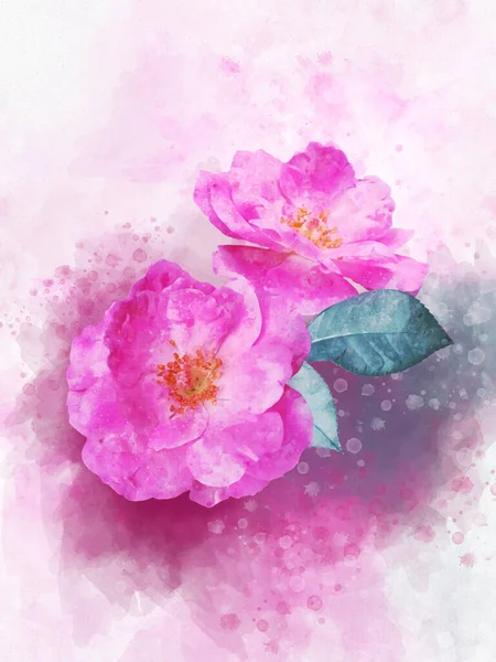 Dibujo Acuarela Una Vibrante Flor Rosa Arte Botánico Elemento Decorativo — Foto de Stock