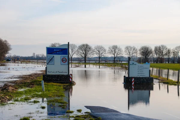 Aijen Limburg Netherlands February 2021 Landscape Flooded River Maas Bergen — Stock Photo, Image