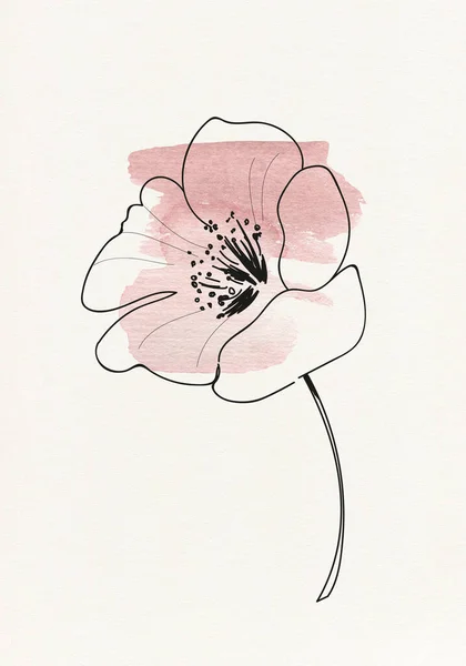 Graphical flower illustration. flower line art pattern background.