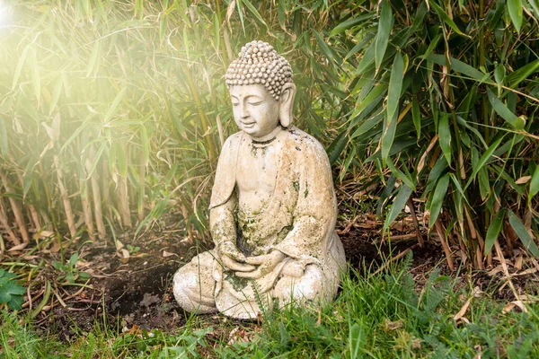 Ülő Buddha Figura Közvetítő Található Egy Napos Kertben Körülvéve Bambusz — Stock Fotó