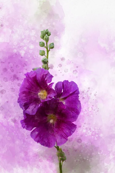 Aquarel Hollyhock Met Hand Getekend Aquarel Zomerbloem Perfect Voor Ontwerp — Stockfoto