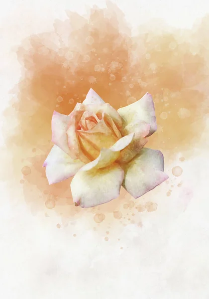 Desenho Aquarela Uma Flor Rosa Amarela Vibrante Arte Botânica Elemento — Fotografia de Stock