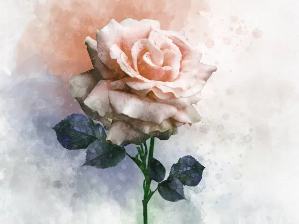 Een Aquarel Schilderstuk Van Een Levendige Rose Rose Bloem Botanische — Stockfoto