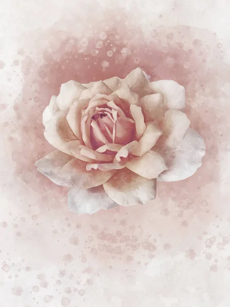 Desenho Aquarela Uma Flor Rosa Vibrante Arte Botânica Elemento Decorativo — Fotografia de Stock