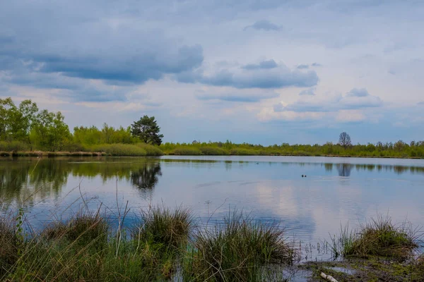 Piękny Holenderski Krajobraz Jeziorem Wiosnę Mariapeel Malownicze Jezioro Mariaveen Branbant — Zdjęcie stockowe