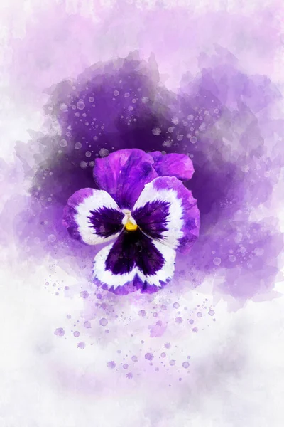 Nahaufnahme Von Lila Stiefmütterchen Blume Aquarell Botanische Illustration Für Grußkarte — Stockfoto